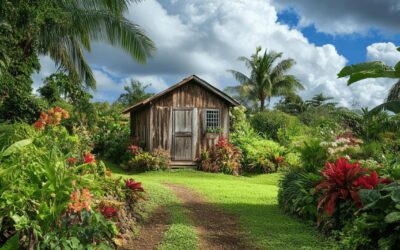 Abris de jardin a La Reunion 974 : Les meilleurs materiaux anti-cycloniques pour votre installation